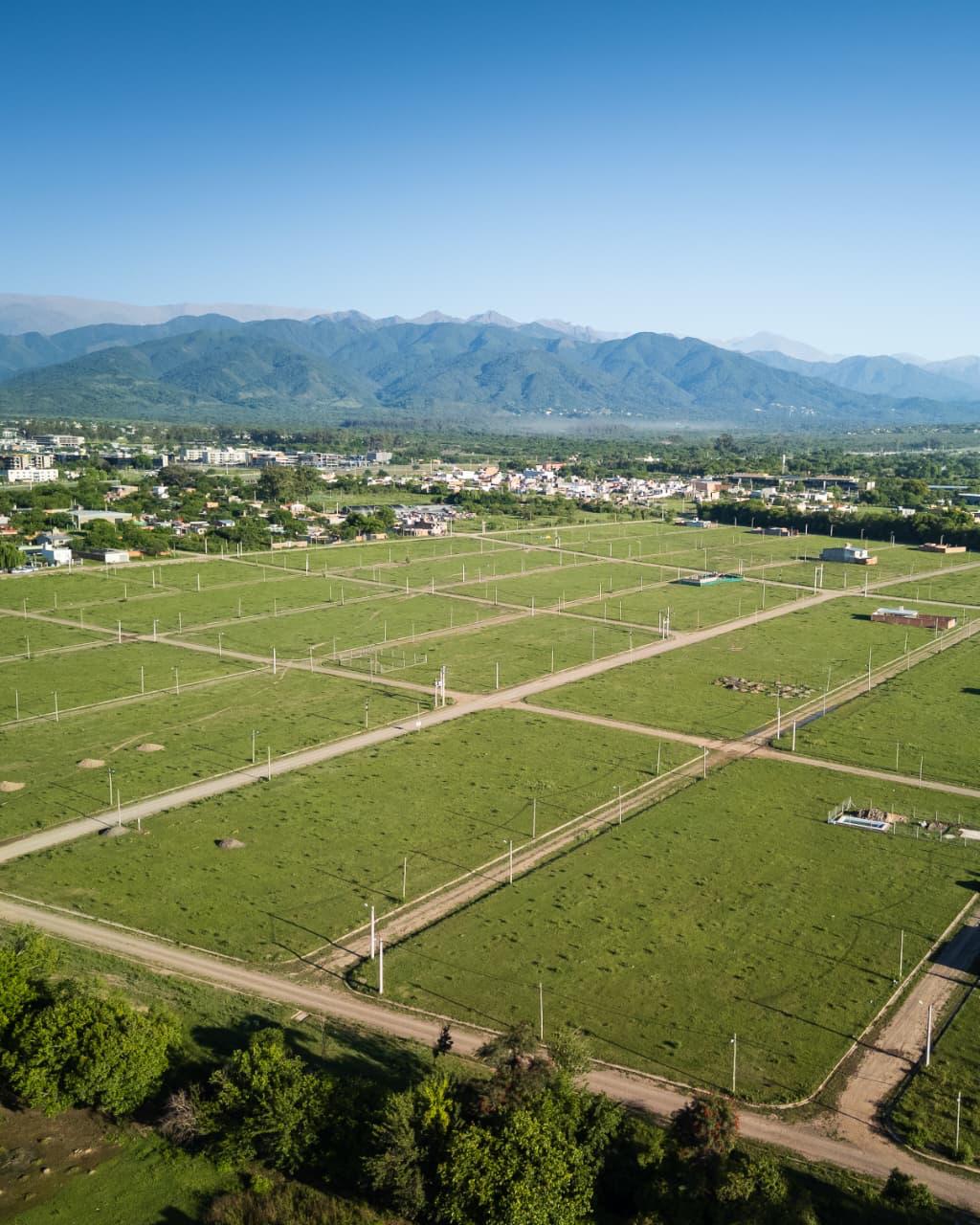 BUEN CLIMA miniatura 2