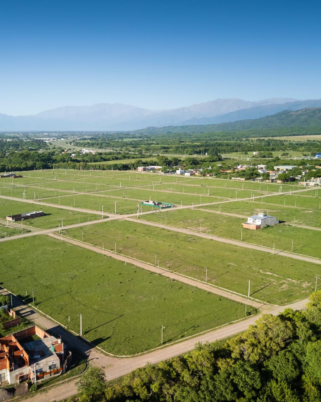 BUEN CLIMA miniatura 3