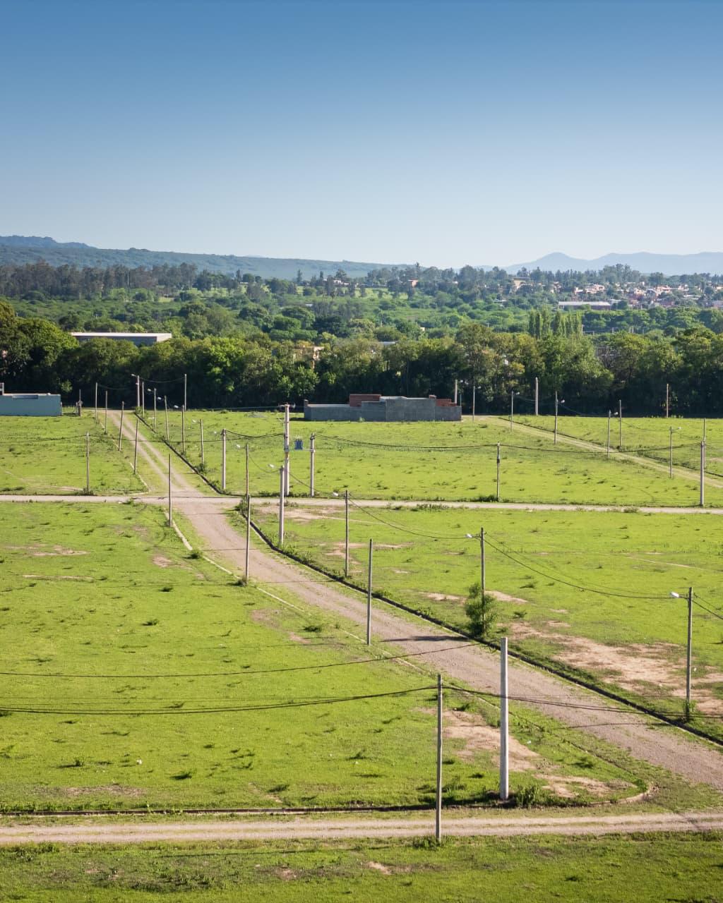 BUEN CLIMA miniatura 4