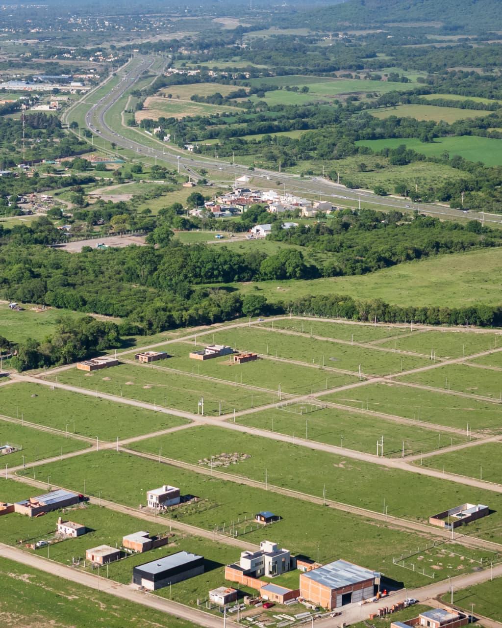 BUEN CLIMA miniatura 5