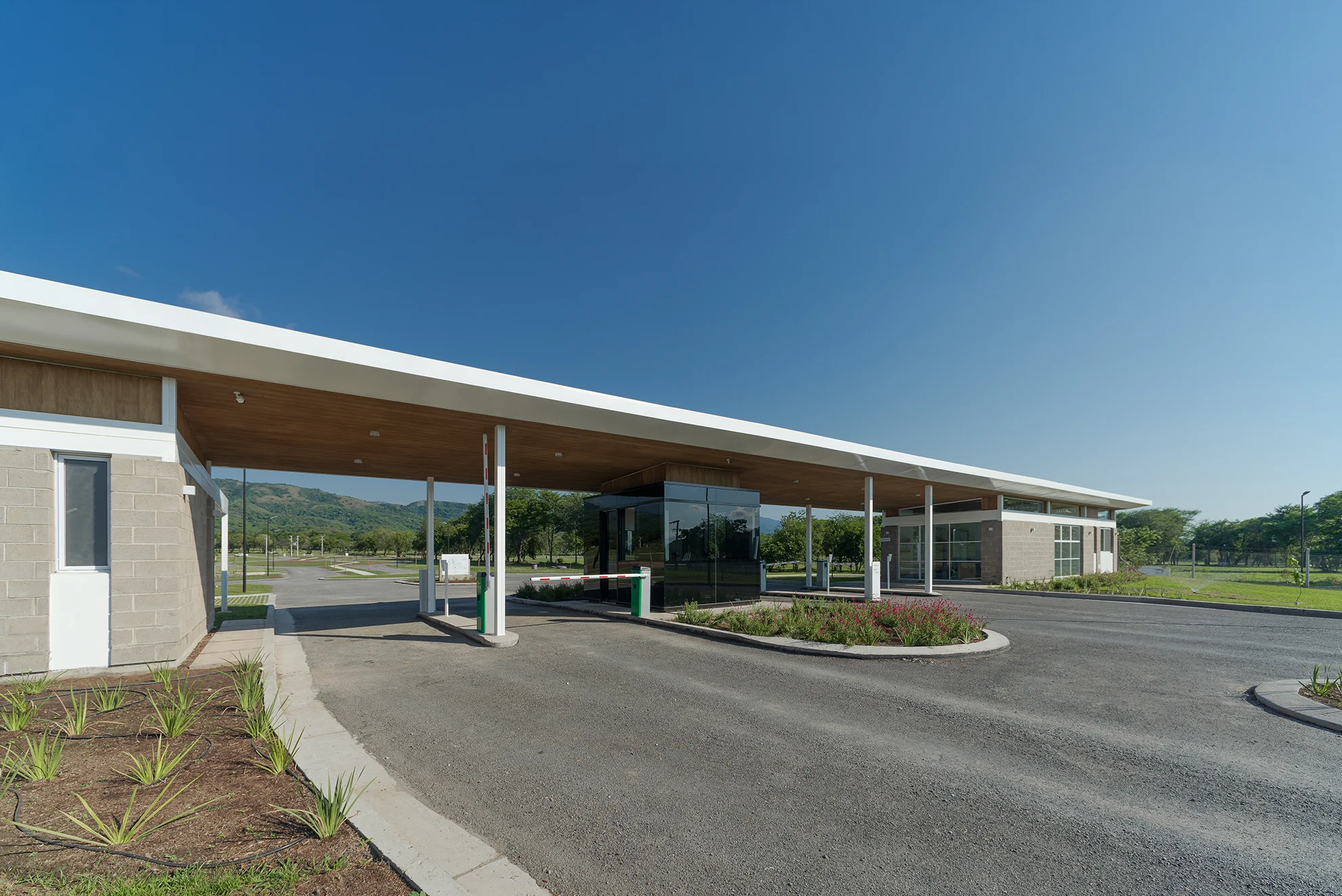 LA ARBOLADA miniatura 4