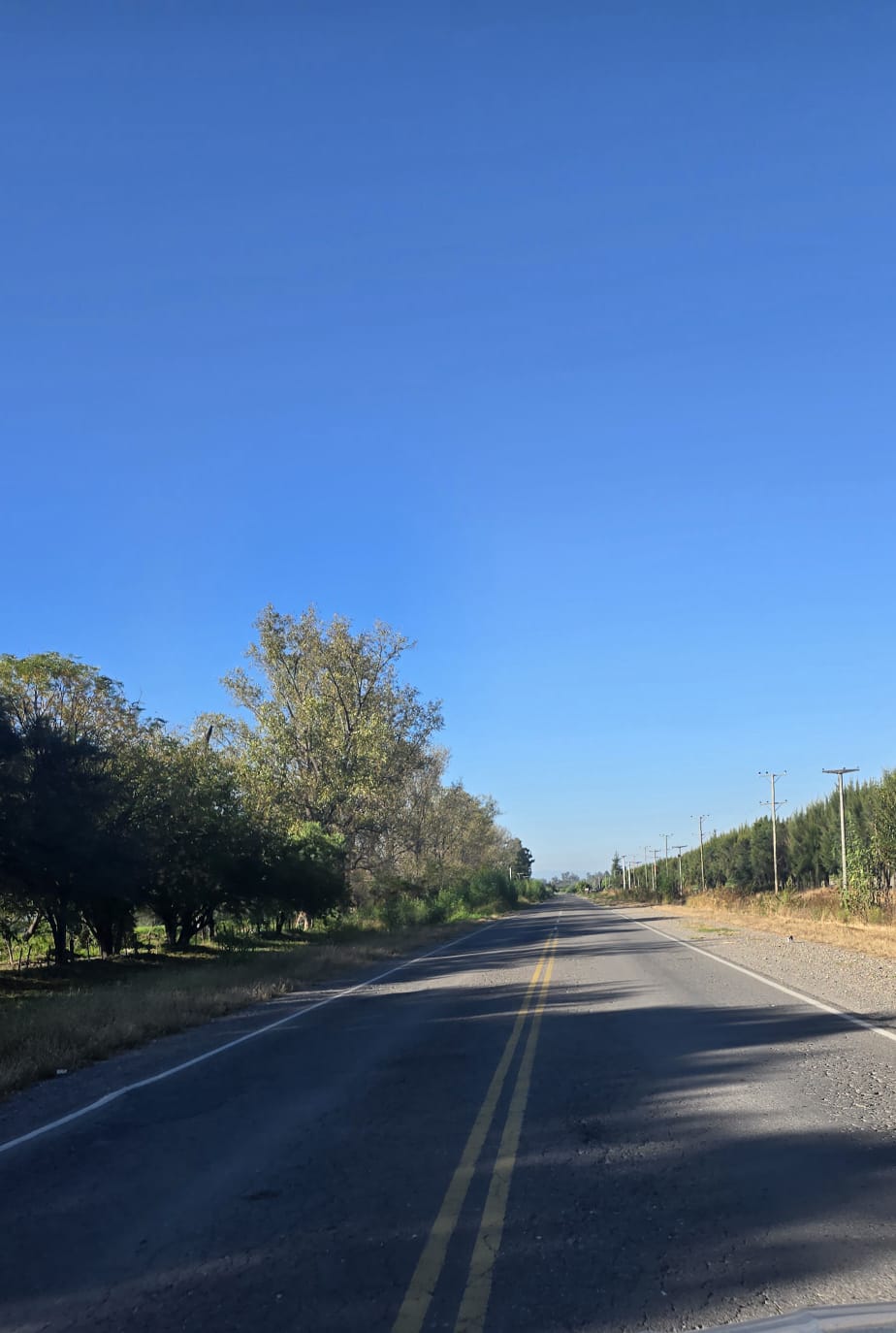 25 HA FINCA CAMINO A SAN AGUSTIN miniatura 2