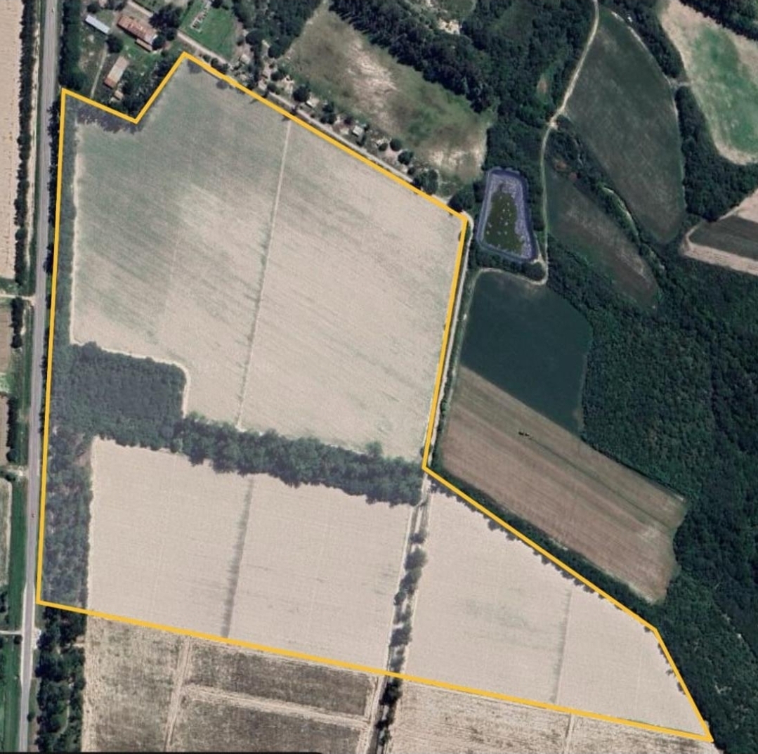 25 HA FINCA CAMINO A SAN AGUSTIN miniatura 8